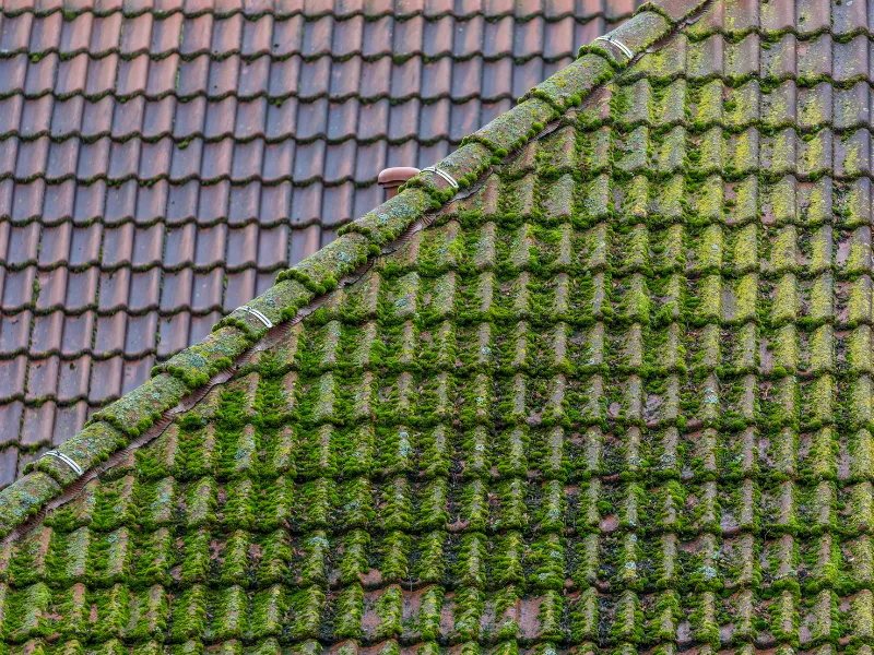 nettoyage de facade morigny