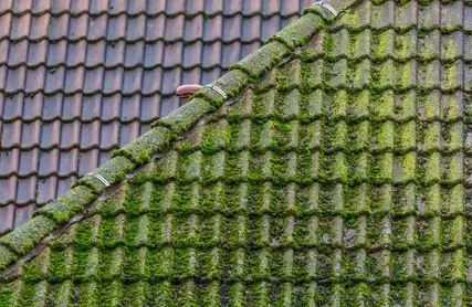ramonage Le Fresne-Poret-4